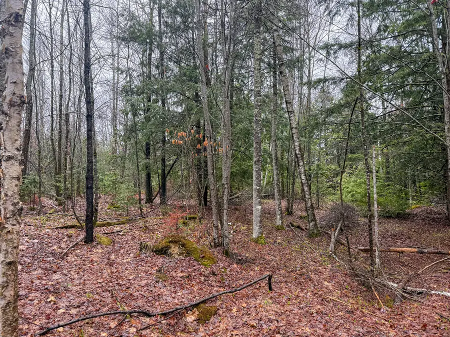 M6L18 Troy Road, Detroit, ME 04929 - #3