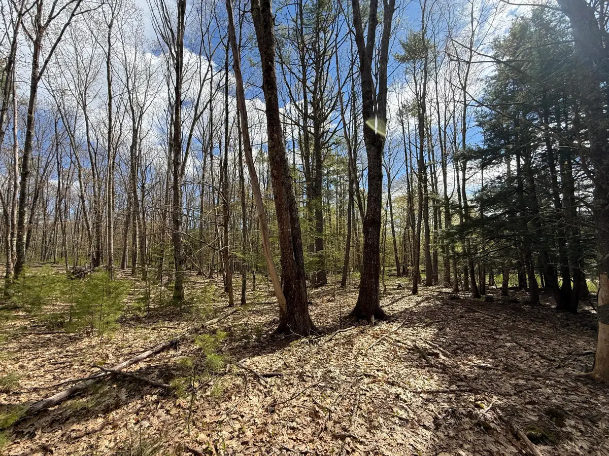 Lot # 8E01 Lord Road, Buxton, ME 04093 - #1