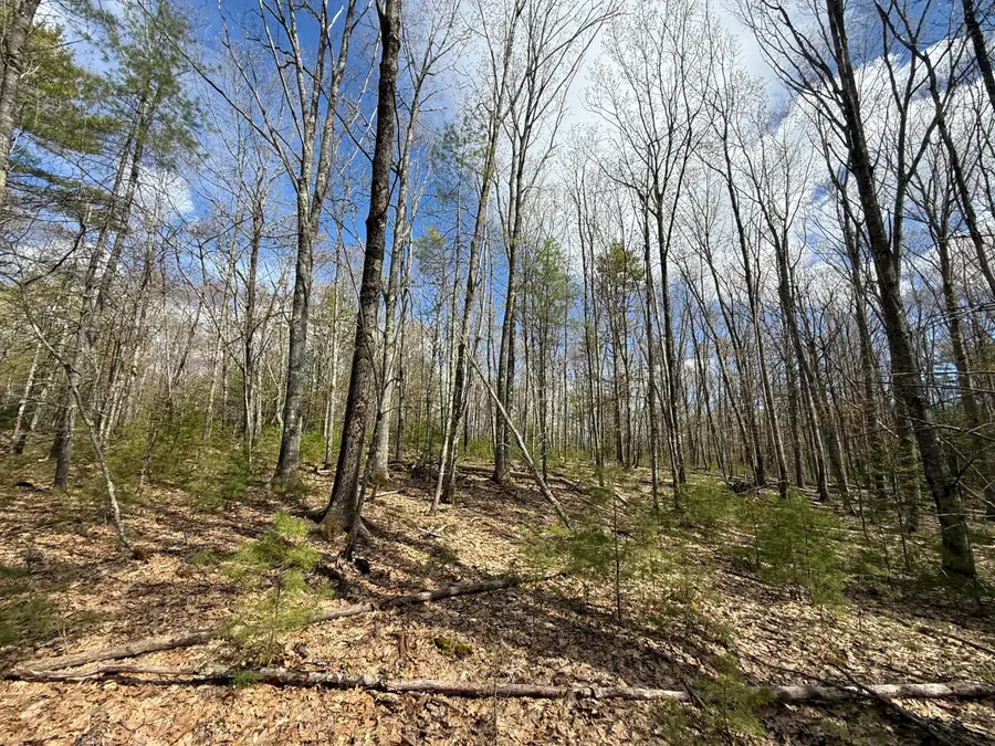 Lot # 8E01 Lord Road, Buxton, ME 04093 - #2
