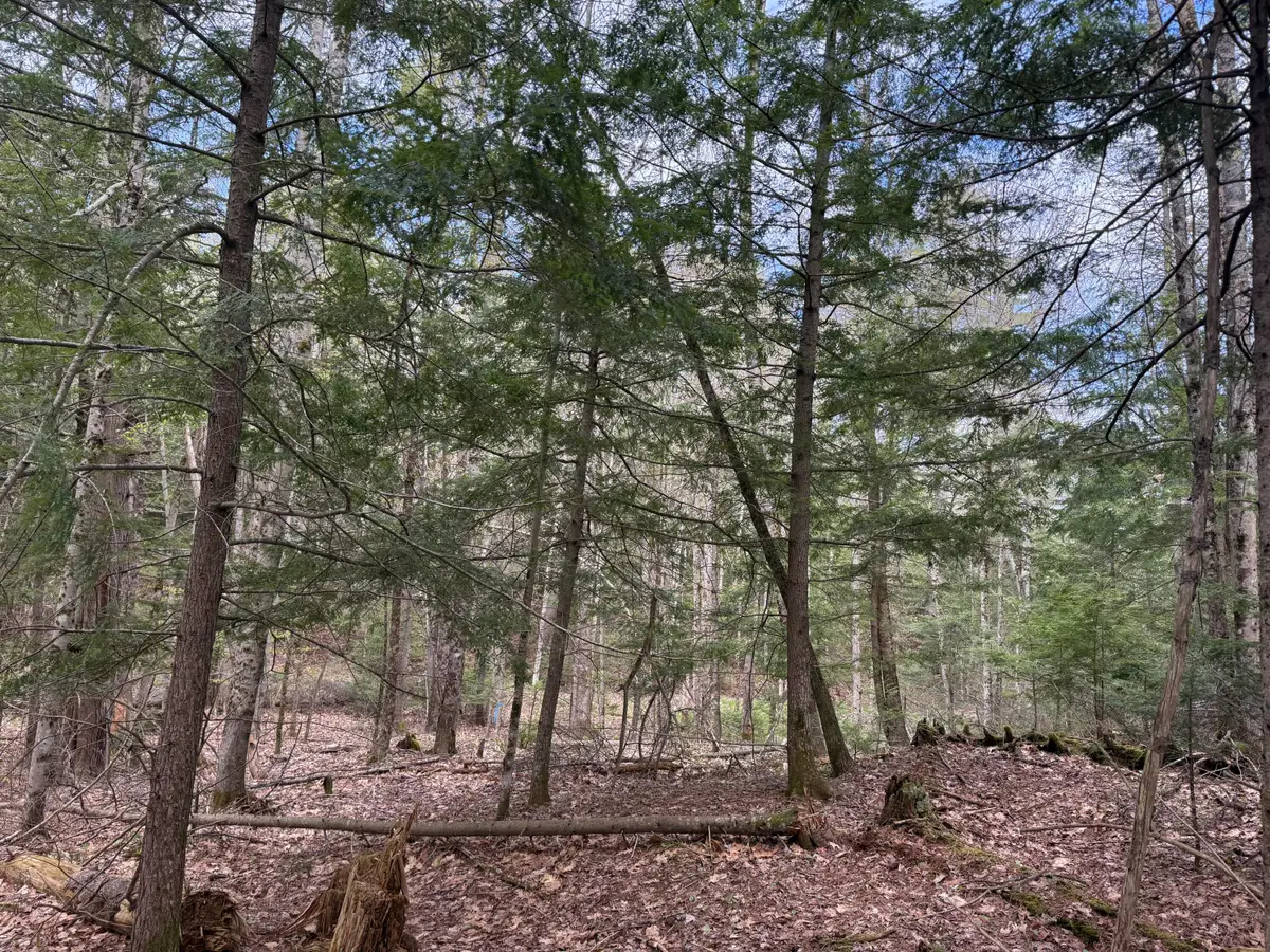 Lot 8F3-B Lord Road, Buxton, ME 04093 - #1