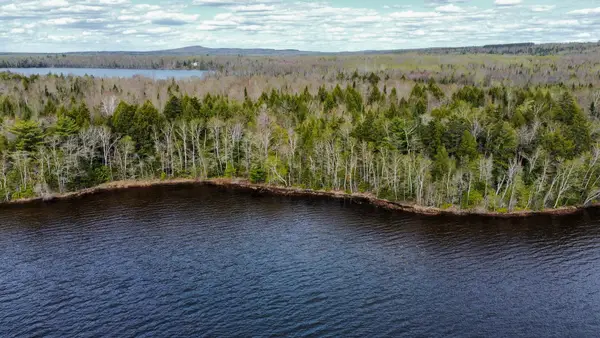 Lot 25 Woodland Ridge Road, Danforth, ME 04424