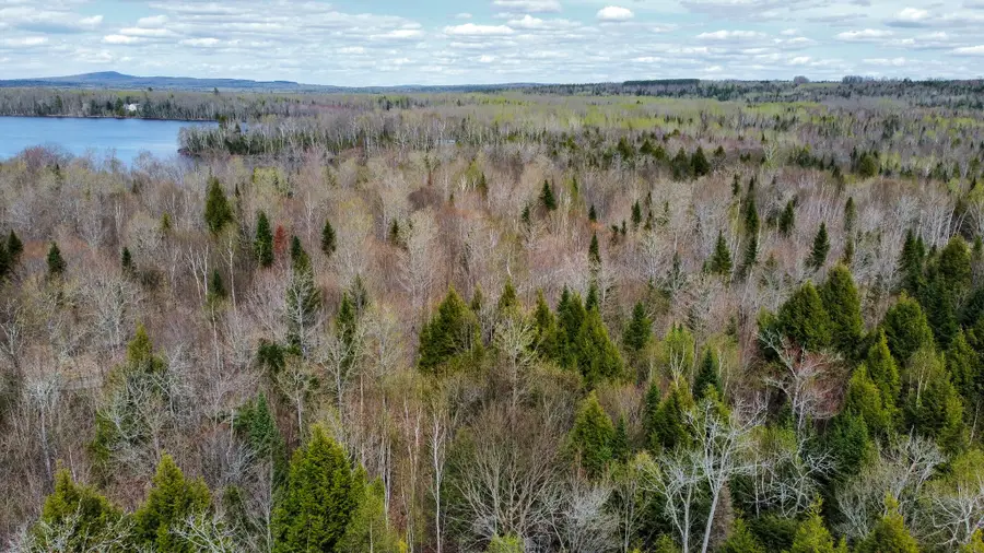 Lot 25 Woodland Ridge Road, Danforth, ME 04424 - #2
