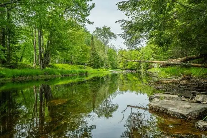 Lot 88-2 Appleton Ridge Road, Searsmont, ME 04973 - #1