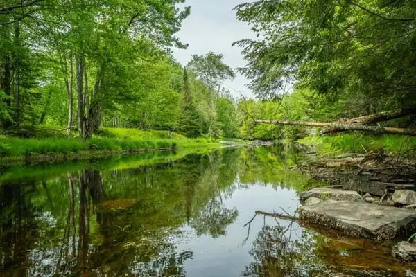 Lot 88-2 Appleton Ridge Road, Searsmont, ME 04973