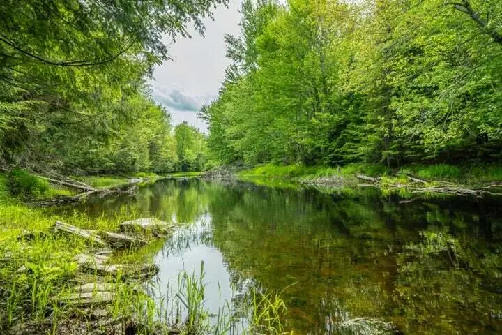 Lot 88-2 Appleton Ridge Road, Searsmont, ME 04973 - #2