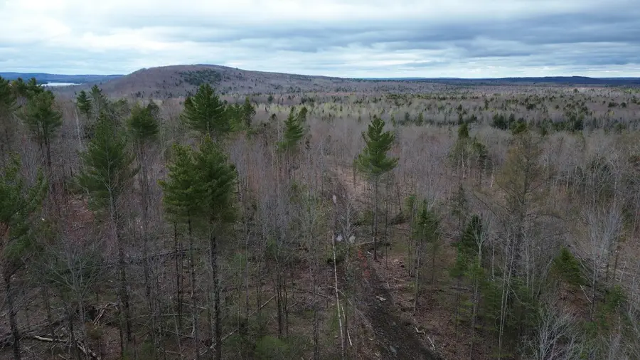 M 3  L13/6 Number Nine Road, Orient, ME 04471 - #3