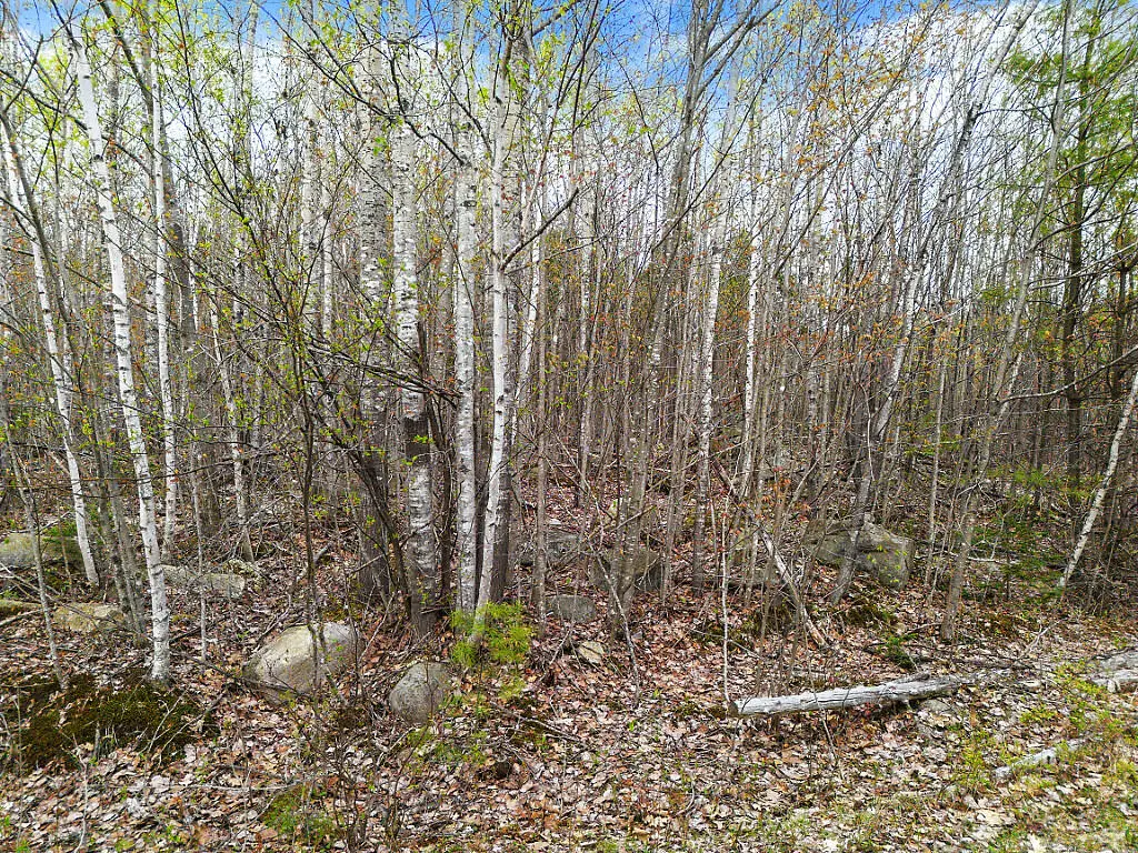 Lot #5 Murdock Place, Belgrade, ME 04917 - #1