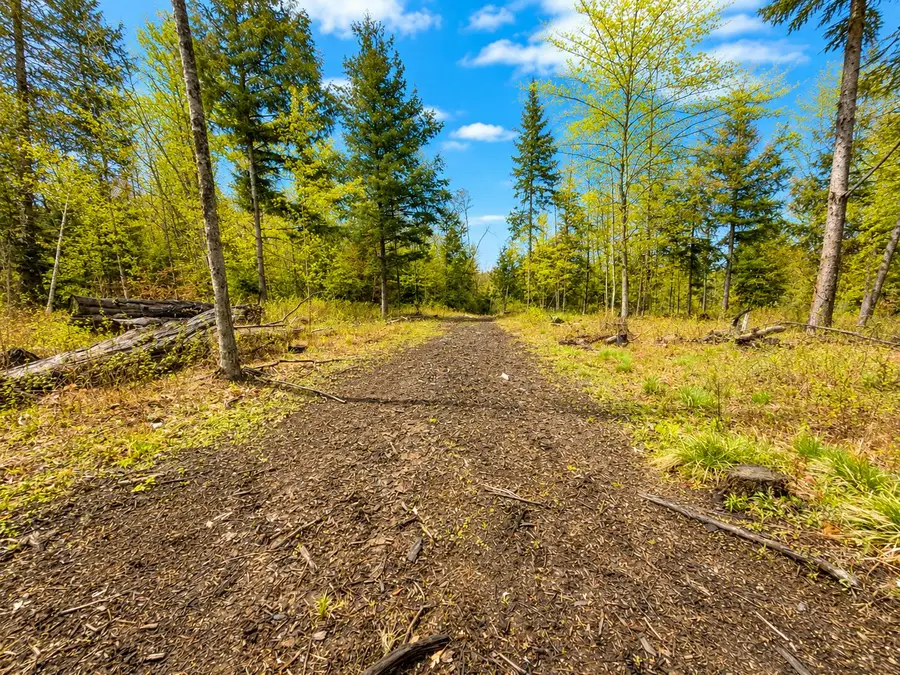 Map13Lot30 Clarks Bridge Road, North Waterboro, ME 04061 - #2