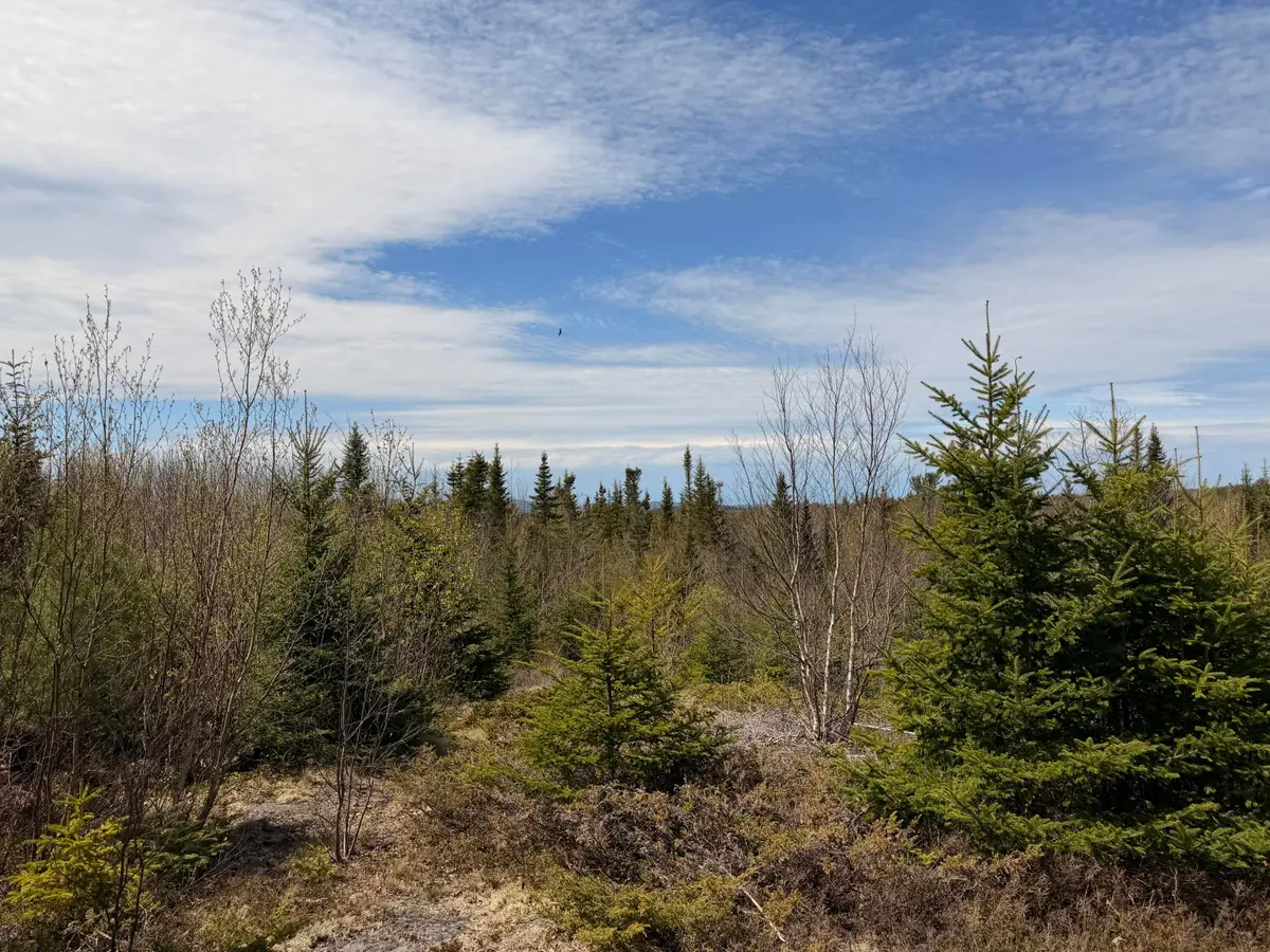 76 Morancy Road, Sullivan, ME 04664 - #1