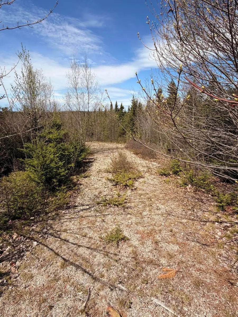 76 Morancy Road, Sullivan, ME 04664 - #2