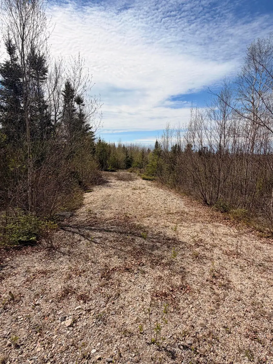 76 Morancy Road, Sullivan, ME 04664 - #3