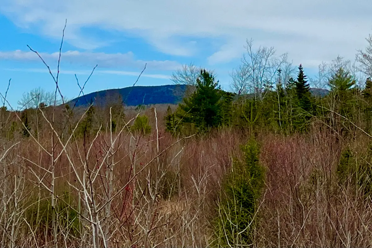 19 Aspen Lane, Sullivan, ME 04664 - #1