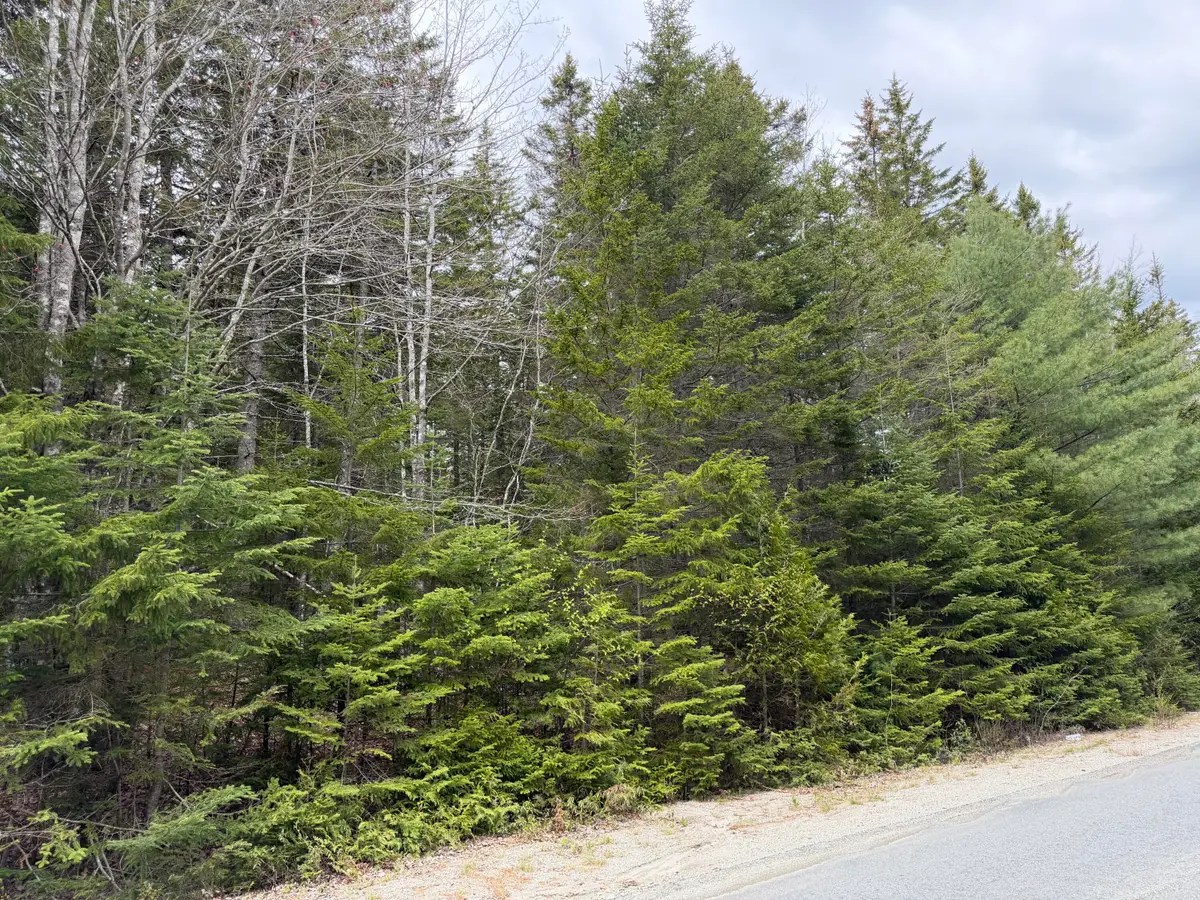 2-C Gouldsboro Point Road, Gouldsboro, ME 04607 - #1