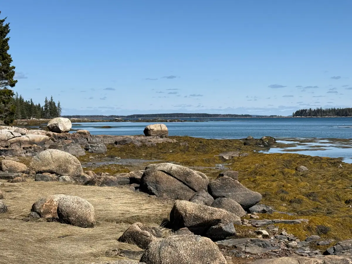 18 Jericho Bay Road, Swans Island, ME 04685 - #1