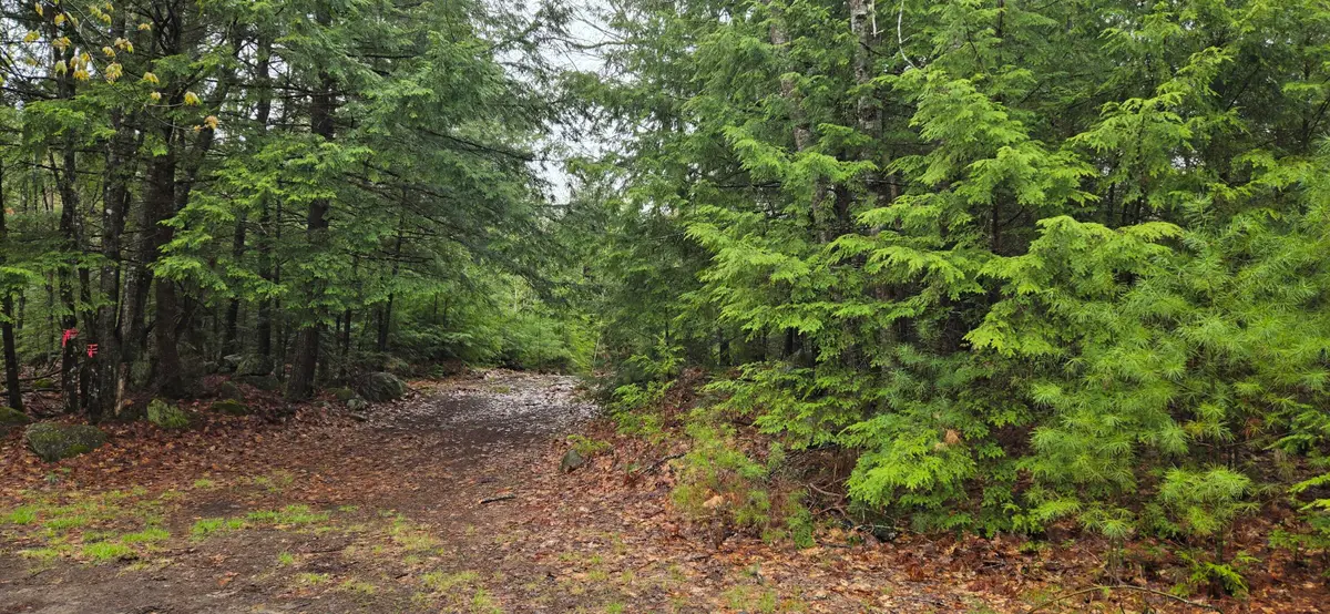 R01-38.4 Parsons Road, South Paris, ME 04281 - #1