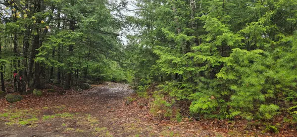 R01-38.4 Parsons Road, Paris, ME 04281