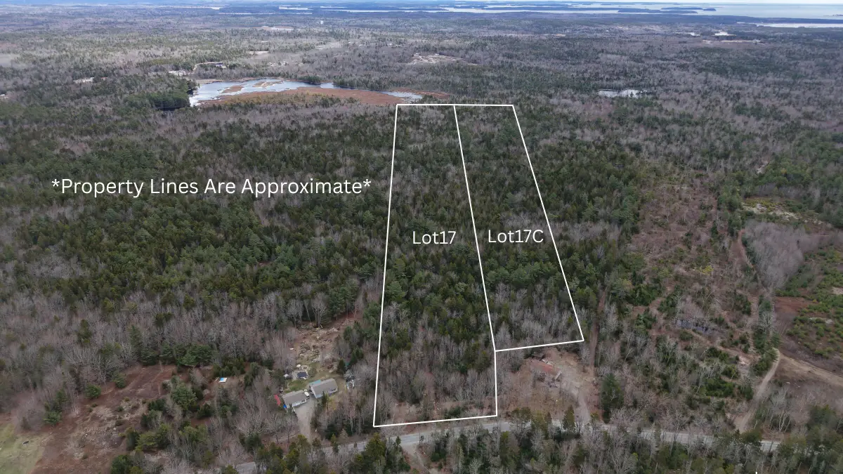 M11L17&17C Rogers Point Road, Steuben, ME 04680 - #1