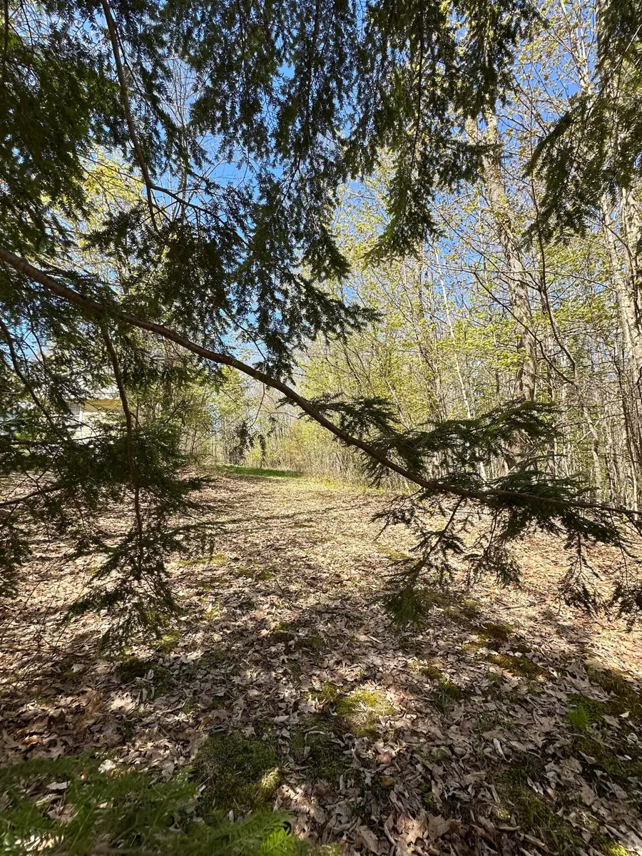 250 E Jay Road, Jay, ME 04239 - #3