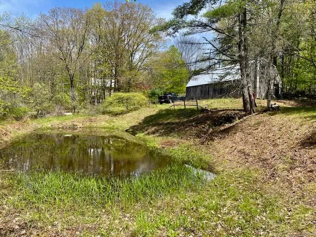 1029 North Road, Parsonsfield, ME 04047 - #3