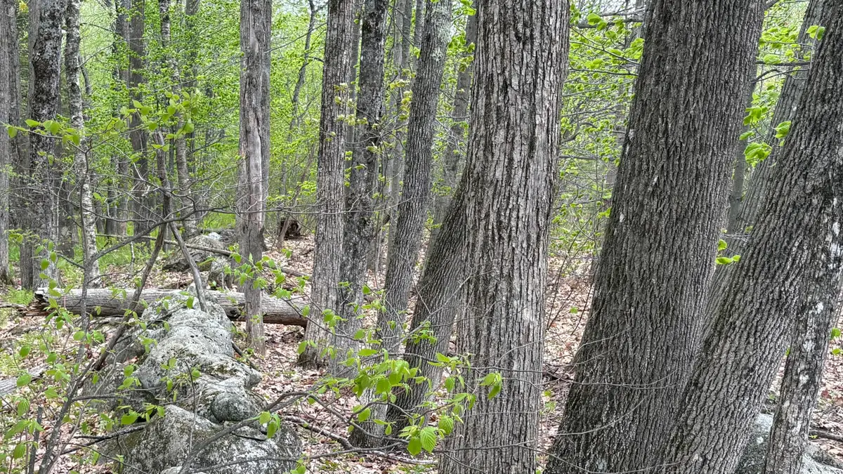 Lot #042 Tower Road #M 005 L 042, Vienna, ME 04360 - #1