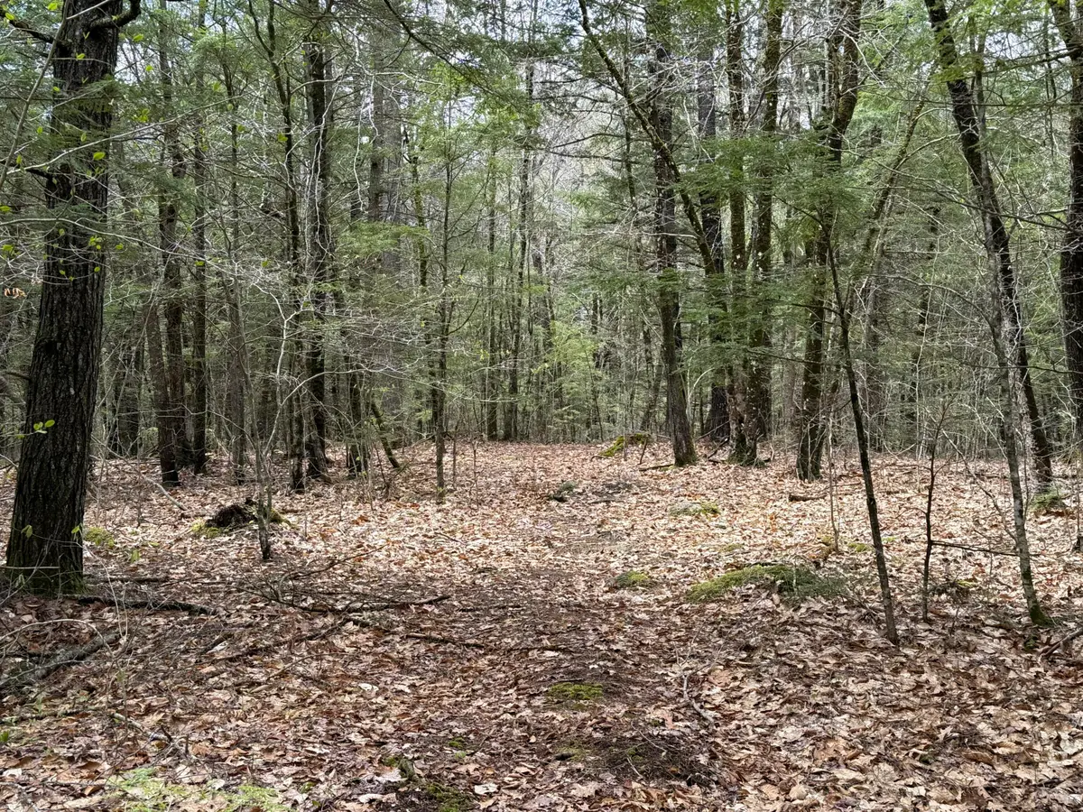 48 Highland Ridge, Hollis, ME 04042 - #1