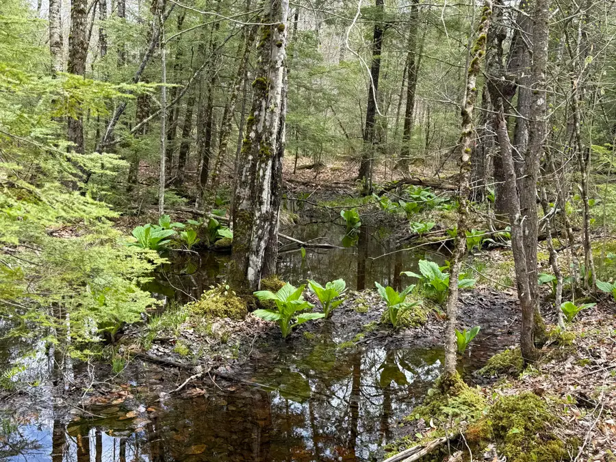 48 Highland Ridge, Hollis, ME 04042 - #2