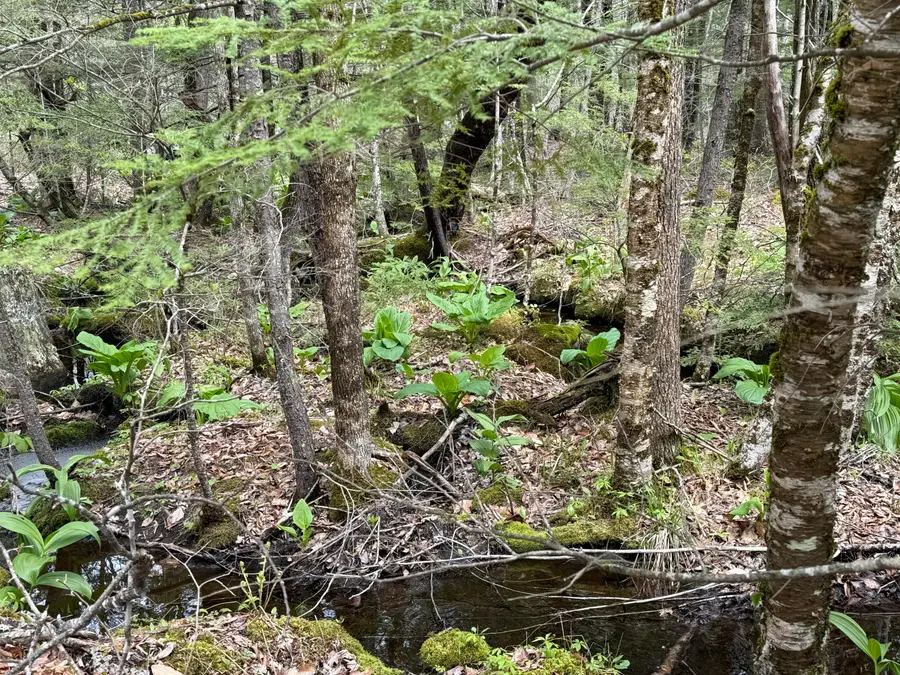 48 Highland Ridge, Hollis, ME 04042 - #3