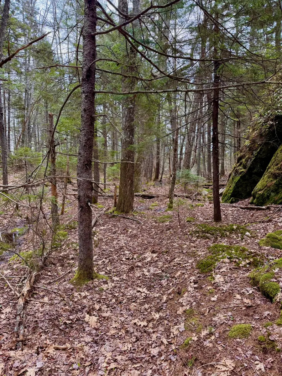 Lot 85 Pension Ridge Road, Boothbay, ME 04537 - #2