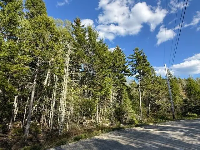 Lot 13 Pidgeon Point Road, Whiting, ME 04691 - #3