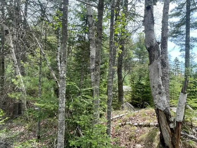 00 Reach Road, Deer Isle, ME 04627 - #2