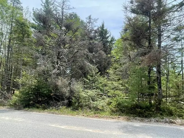 00 Reach Road, Deer Isle, ME 04627 - #3