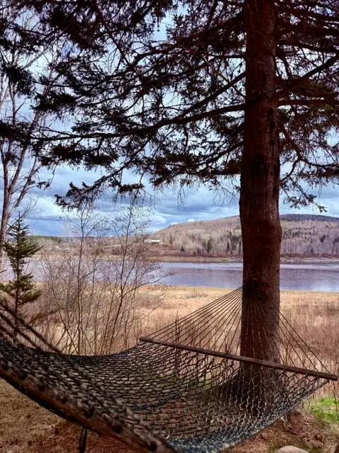 234 Walker Brook Road, Allagash, ME 04774 - #3