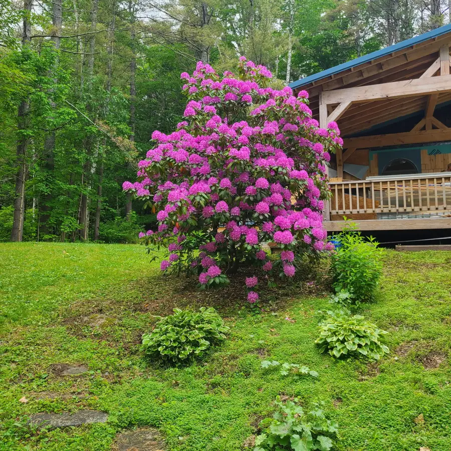 203 Belgrade Road, Oakland, ME 04963 - #2