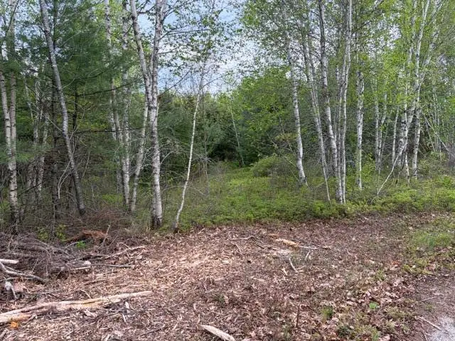 Lot #8 Thayer Road, Waltham, ME 04605 - #1