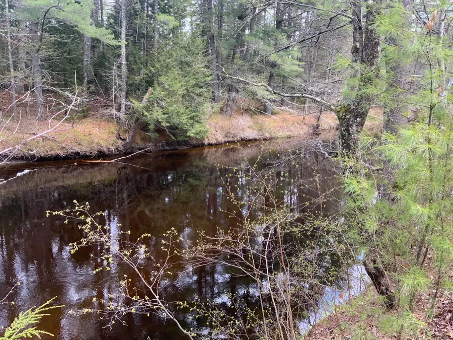 167 Maplewood Drive, Naples, ME 04055 - #3