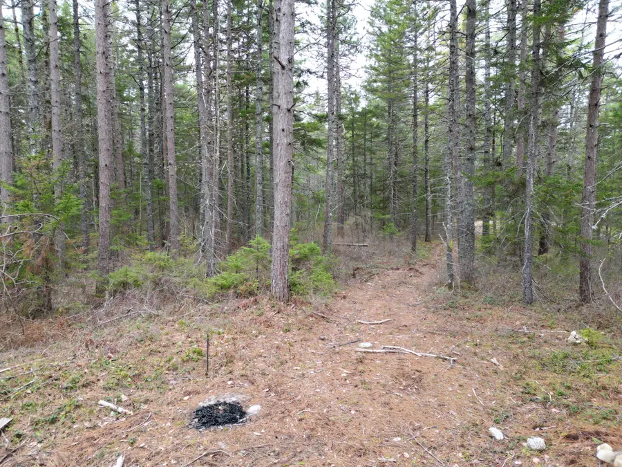 1323 Deer Haven, Wesley, ME 04686 - #2