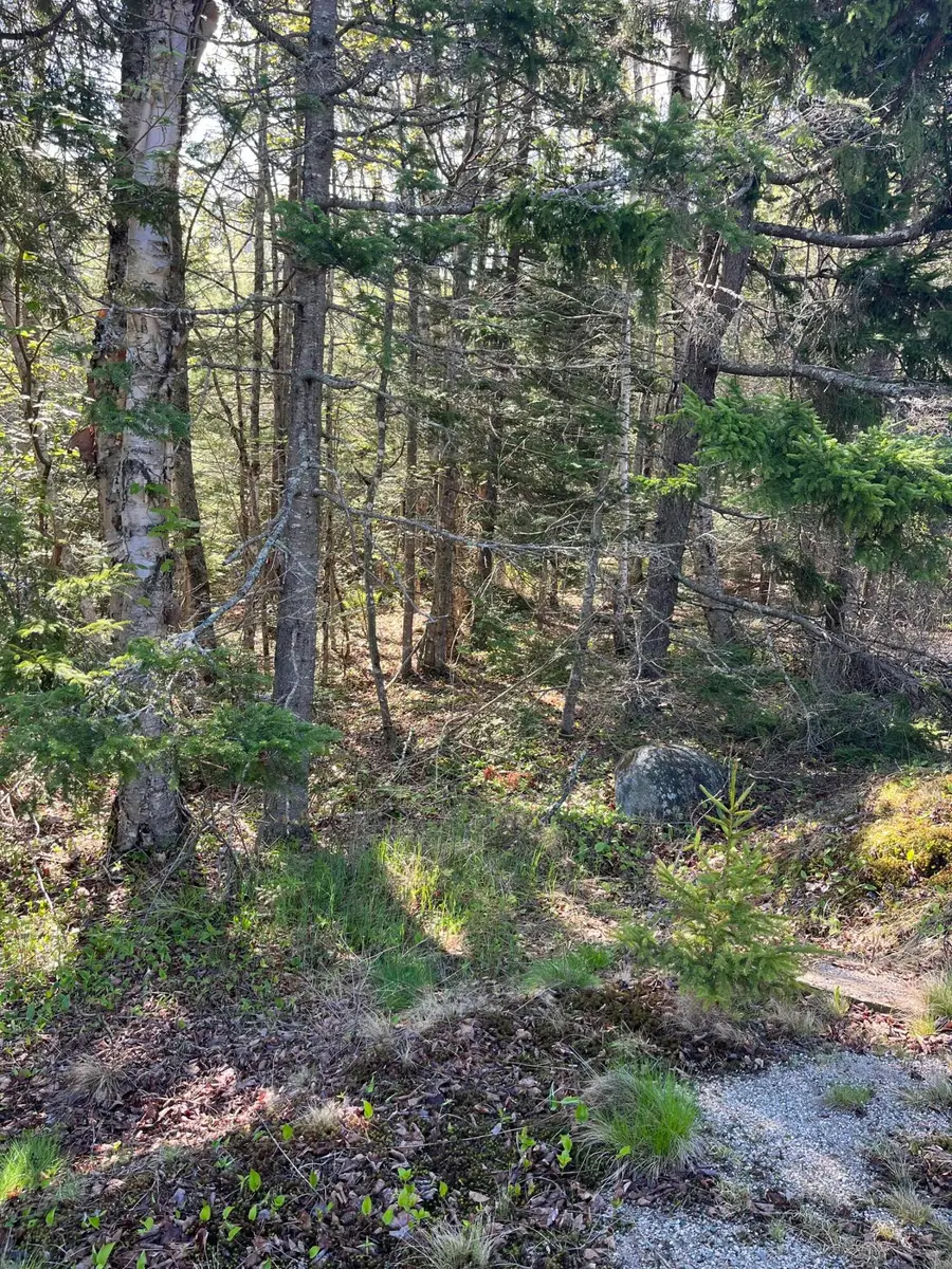 Lot 14 West Bay Road, Gouldsboro, ME 04607 - #2