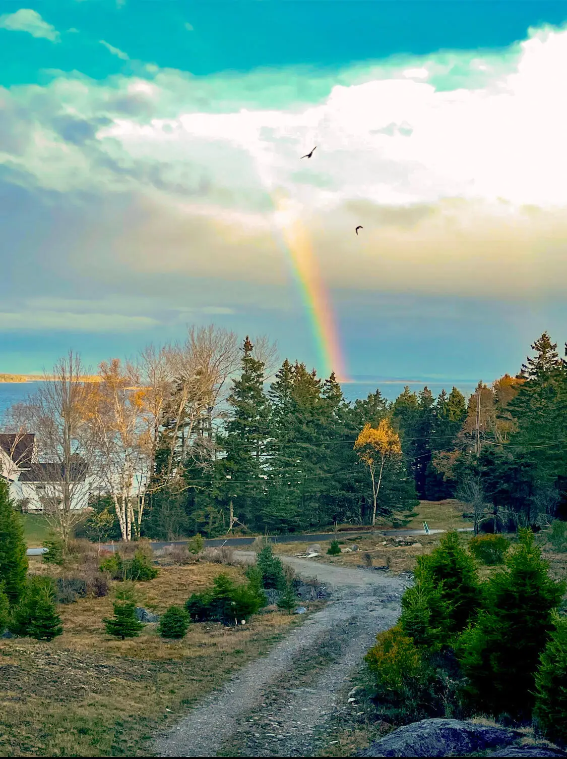 30 Steamboat Road, Swans Island, ME 04685 - #1