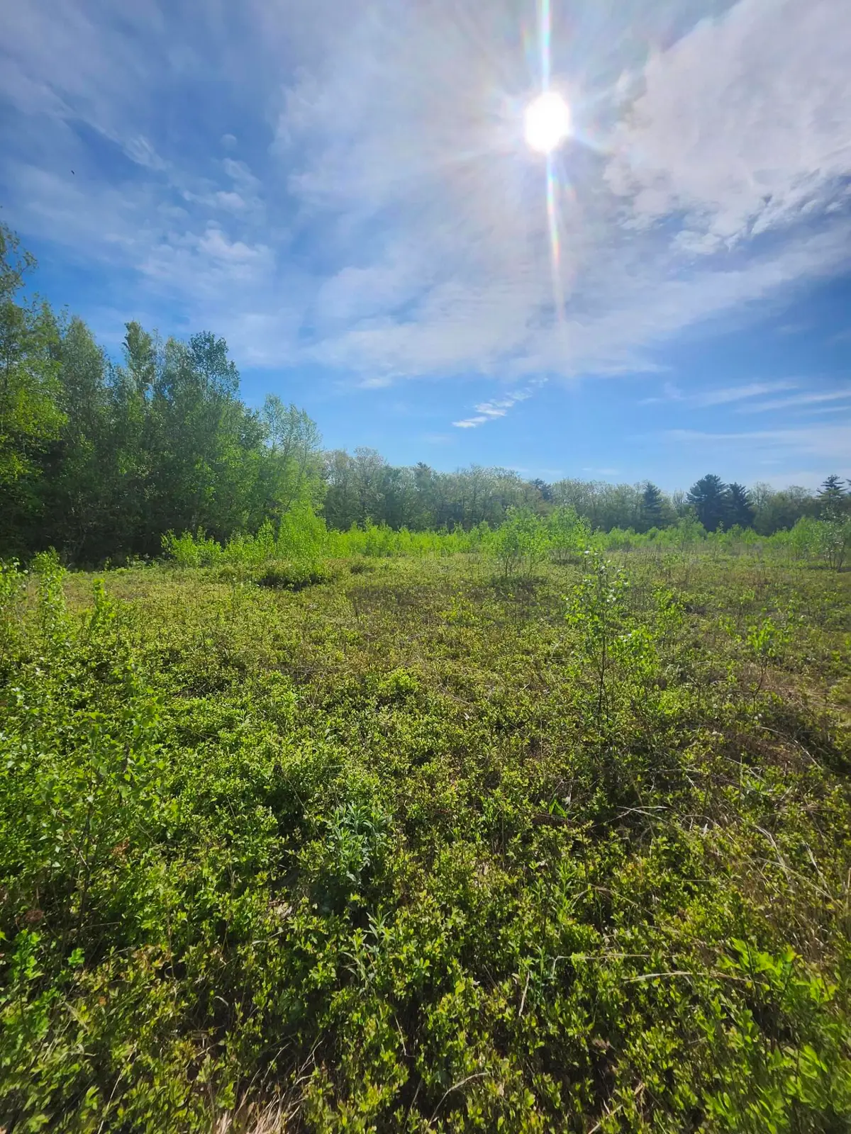 0 430 Bell Hill Road, Otisfield, ME 04270 - #1