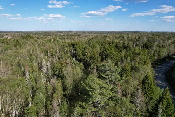 Lot 009 Off Of Reynolds Brook Road, Whiting, ME 04691