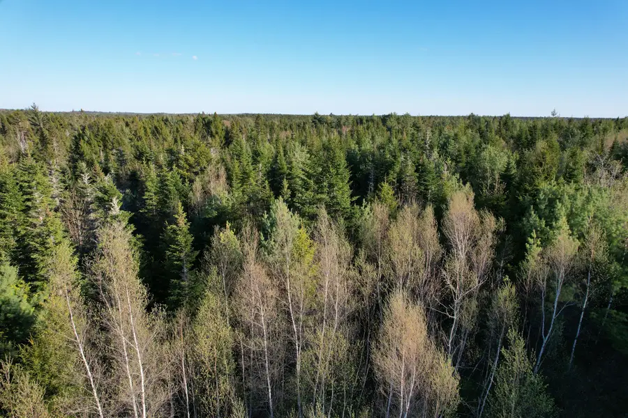 Lot 009 Off Of Reynolds Brook Road, Whiting, ME 04691 - #2