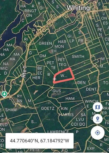 Lot 009 Off Of Reynolds Brook Road, Whiting, ME 04691 - #3