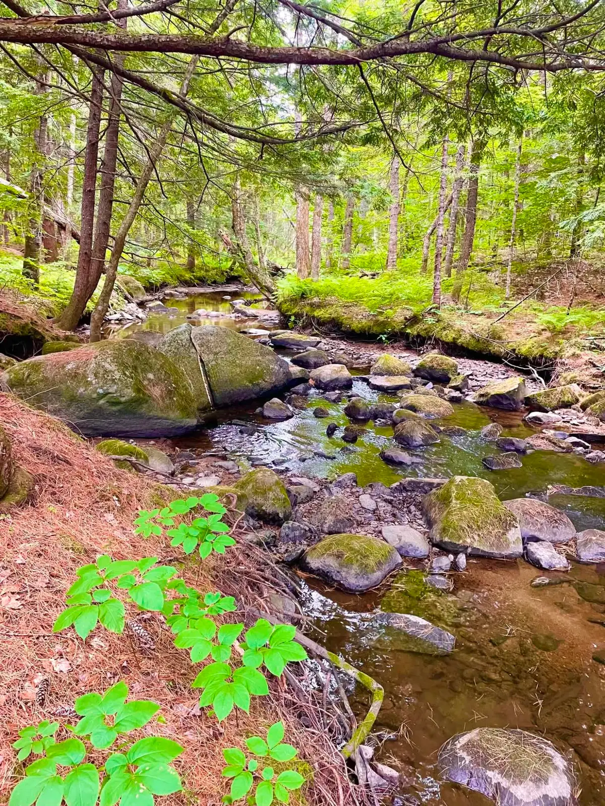 PO M20 L25 4 Mile Square Road, Anson, ME 04911 - #1