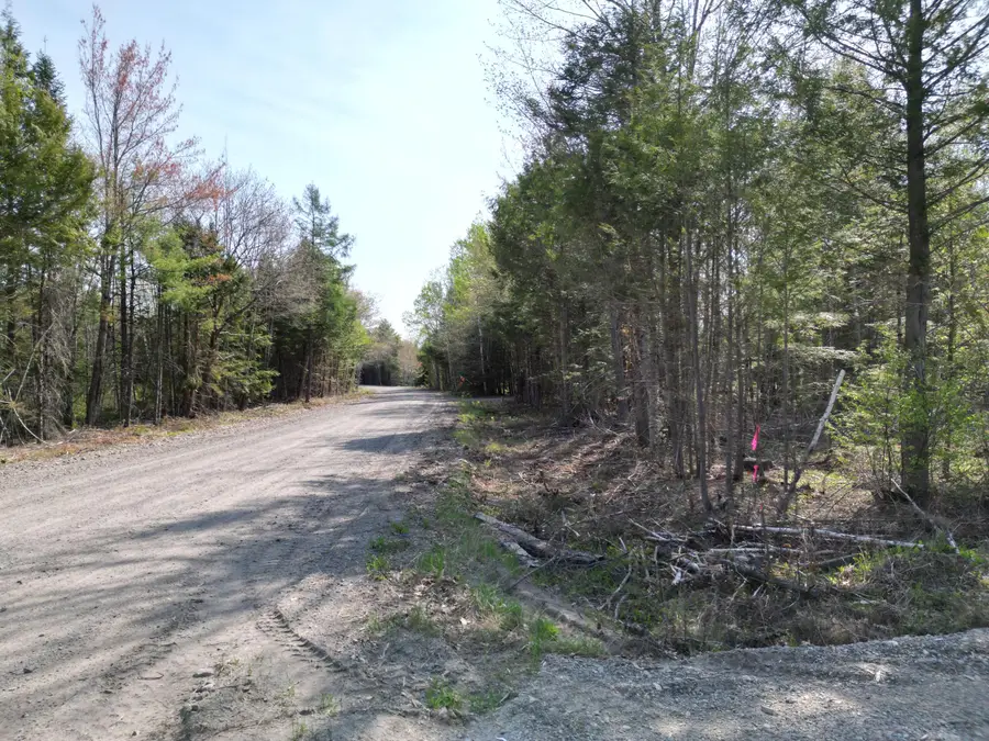 Lot 1 Mattamiscontis Road, Howland, ME 04448 - #2