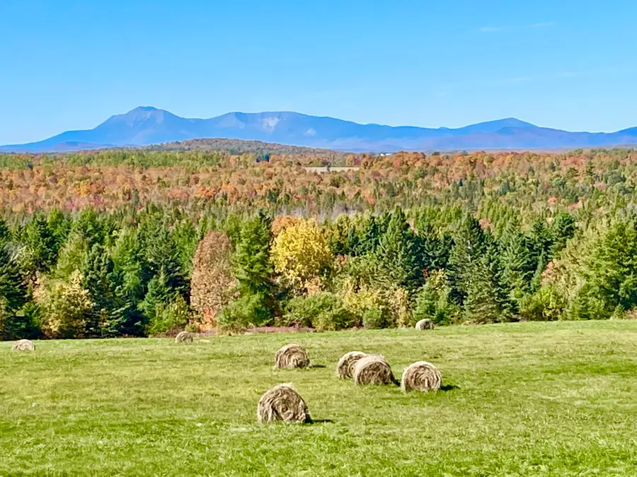 521 Gallison Road, Sherman, ME 04776 - #2
