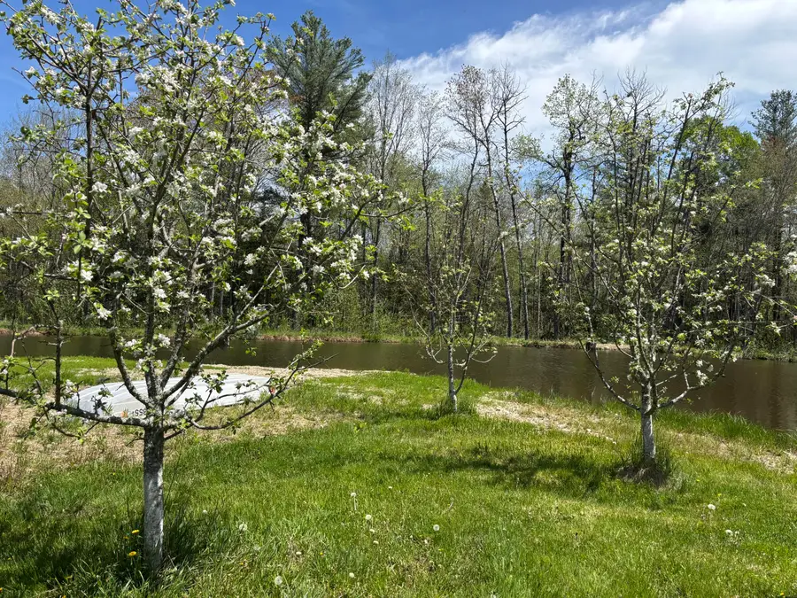 773 Hatchery Road, Deblois, ME 04622 - #3