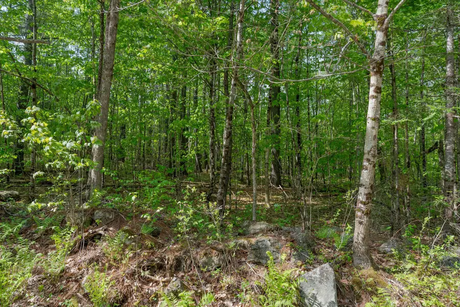 Lot C Shady Nook Road, West Newfield, ME 04095 - #2