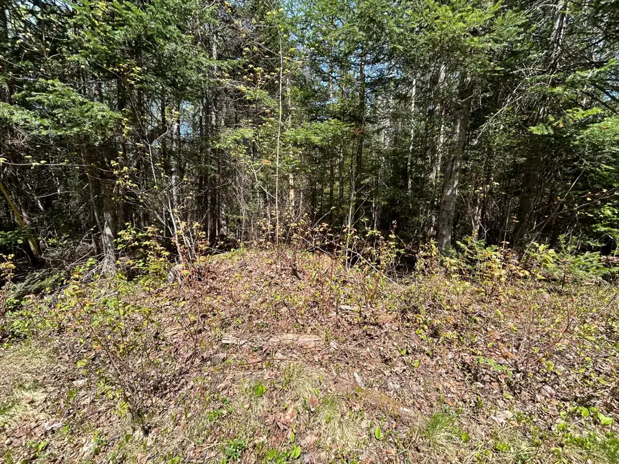 M17/L52-1 Stinchfield Road, Sandy River Plt, ME 04970 - #3