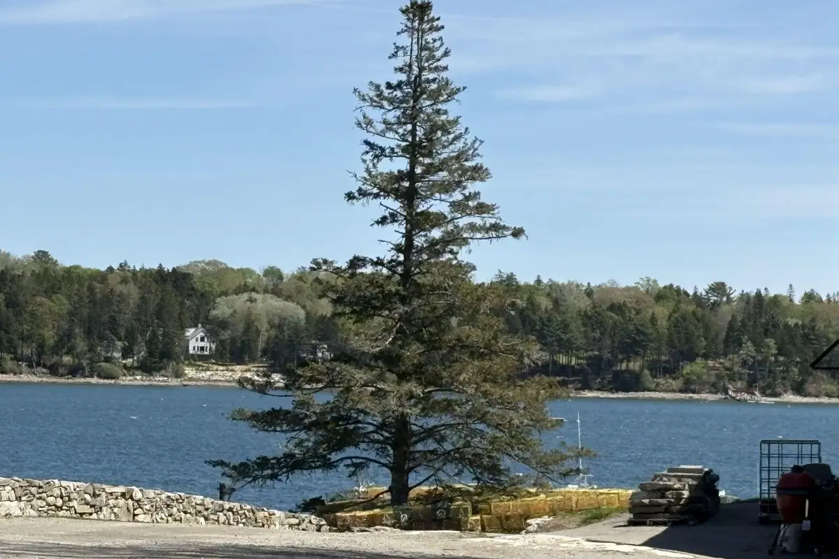 Lot 116010 Martin Point Road, Friendship, ME 04547 - #1