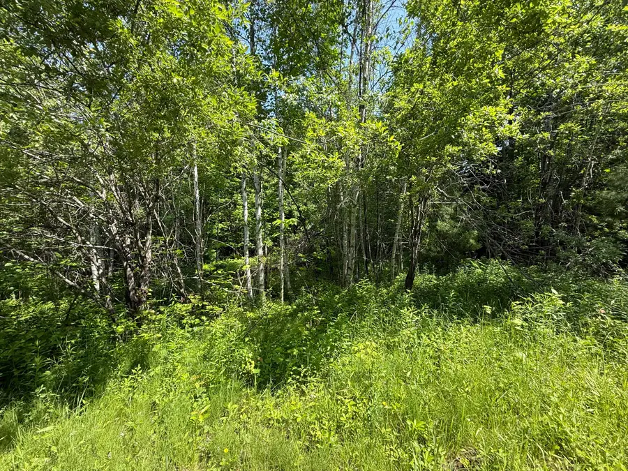 158-050-3 Vfw Street, Lincoln, ME 04457 - #3